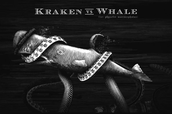 Kraken9.at